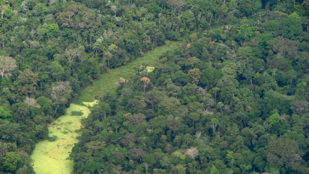 Reprodução/Flickr Uma a cada cinco mortes violentas registradas no Brasil ocorreu na Amazônia Legal