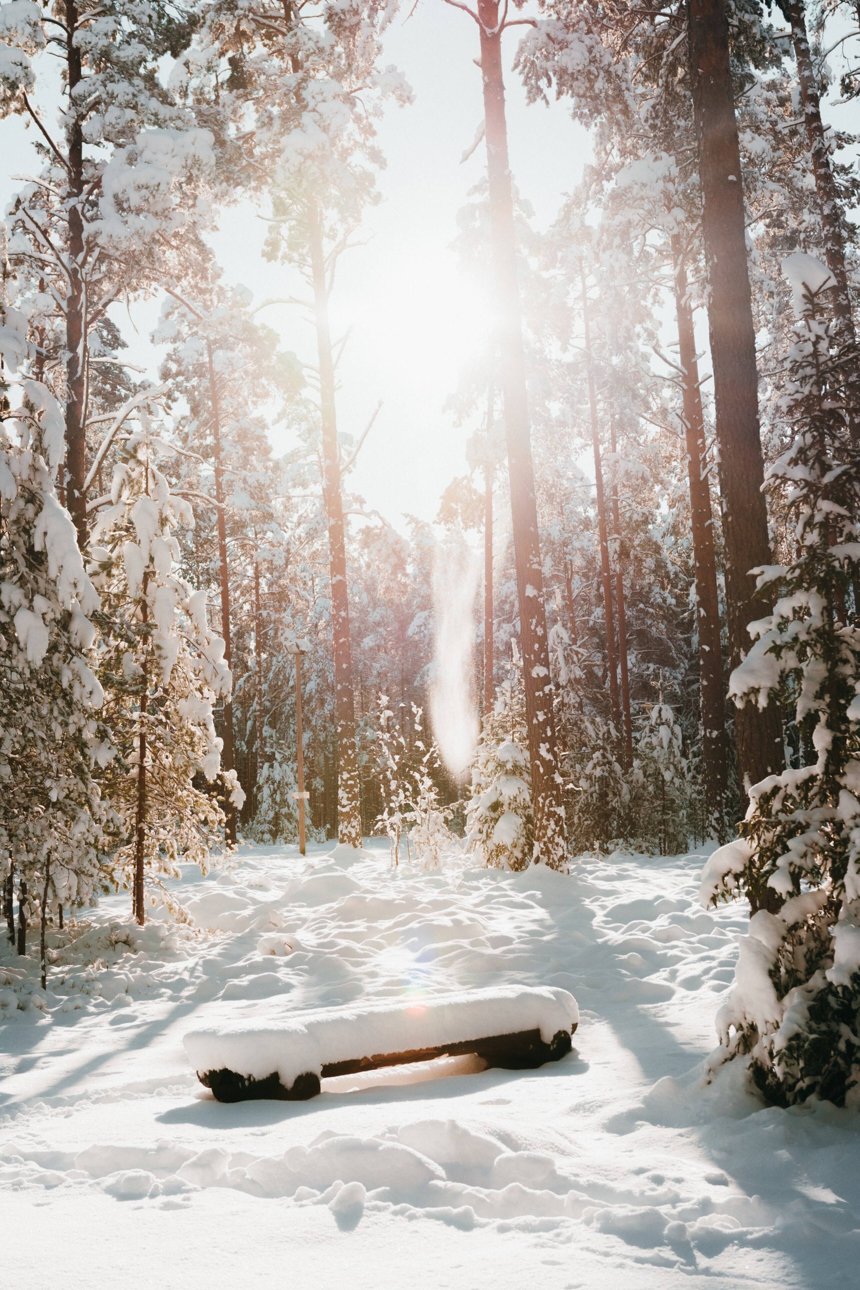 Estonia. Foto: siim lukka / unsplash