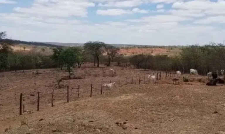 Seca em Minas já afetou 326 mil produtores rurais e causou prejuízos de R$ 1,8 bilhão