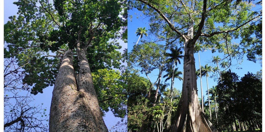 © Divulgação/ Alexandre Machado/Jardim