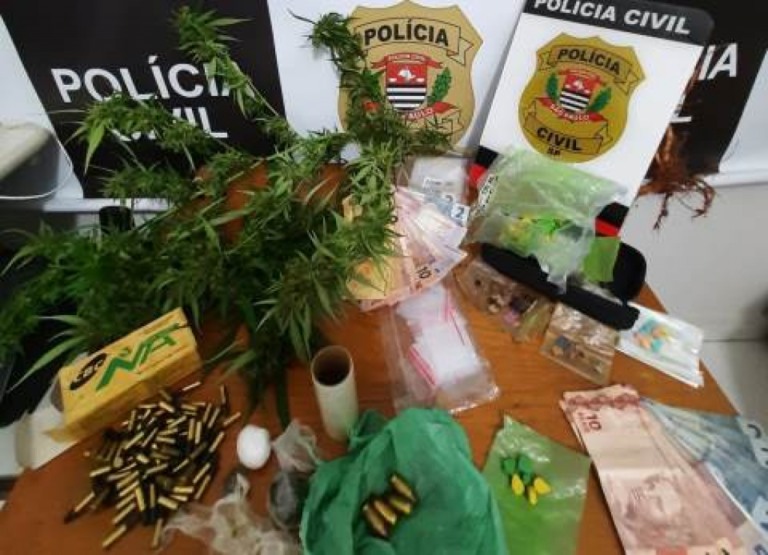 Polícia apreende munições, drogas e pé de maconha em casa da zona sul