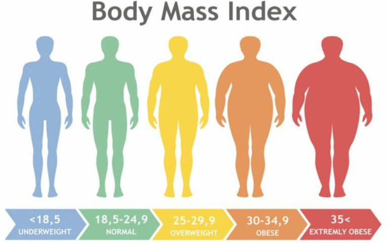 Dia Mundial da Obesidade: entenda os riscos da doença para a saúde