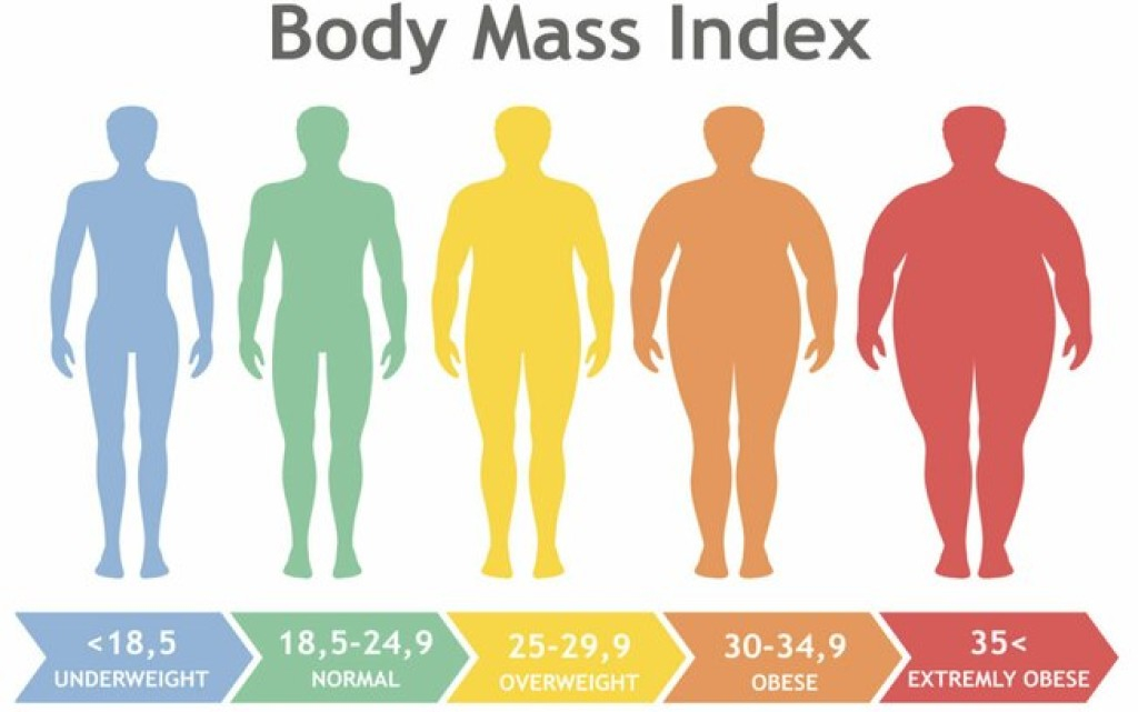 Dia Mundial da Obesidade: entenda os riscos da doença para a saúde Dia Mundial da Obesidade: entenda os riscos da doença para a saúde