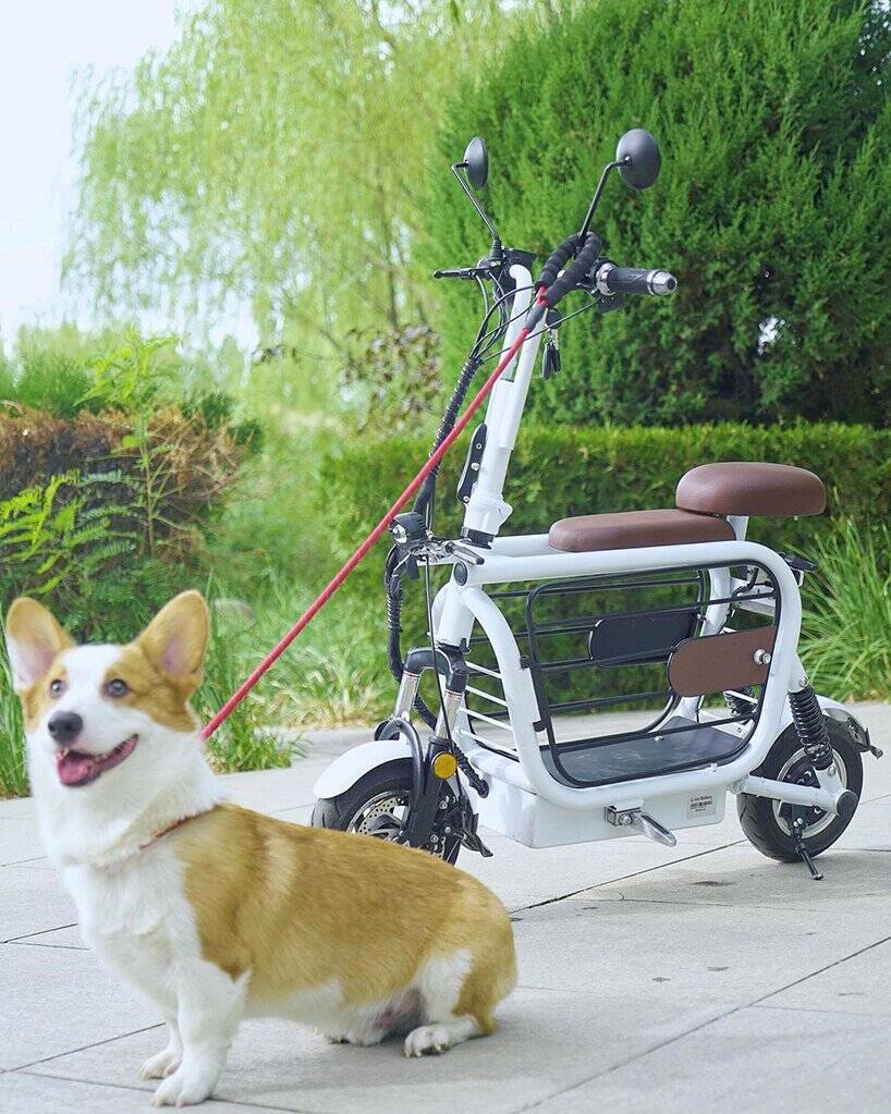 Moppet E-Bike. Foto: Divulgação