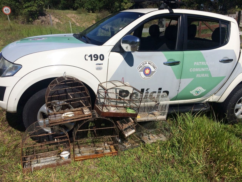 Caçador de pássaros leva R$ 5.200 em multas em Marília