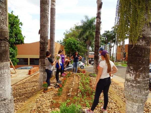 Futuros arquitetos aprendem reciclagem, pintura e paisagismo na prática