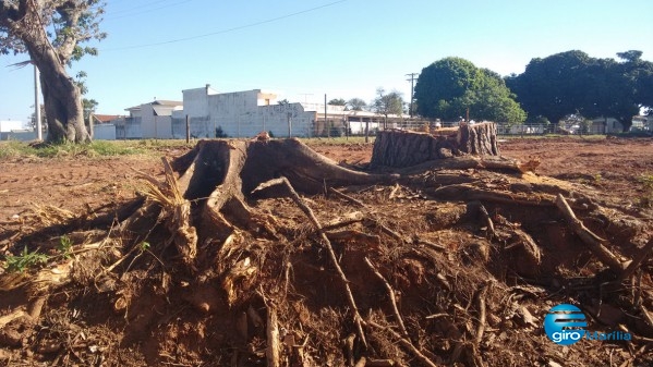 Cascata ganha nova avenida e perde árvores históricas