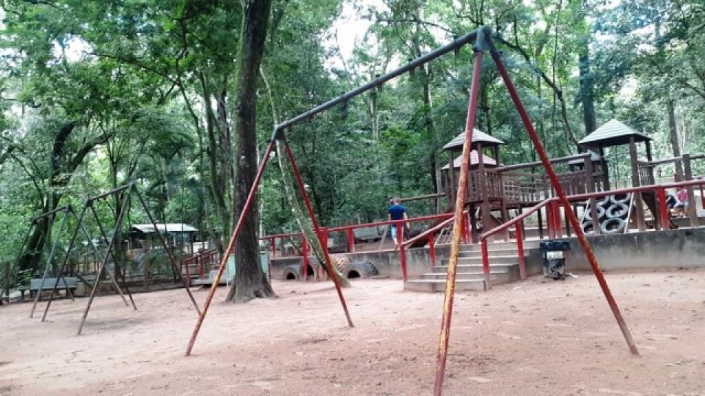 Morador acusa descaso com Bosque de Marília; local é base de projeto turístico