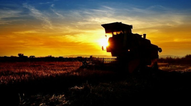 Entenda aqui como o agronegócio brasileiro está sendo impactado pela guerra entre Ucrânia e Rússia