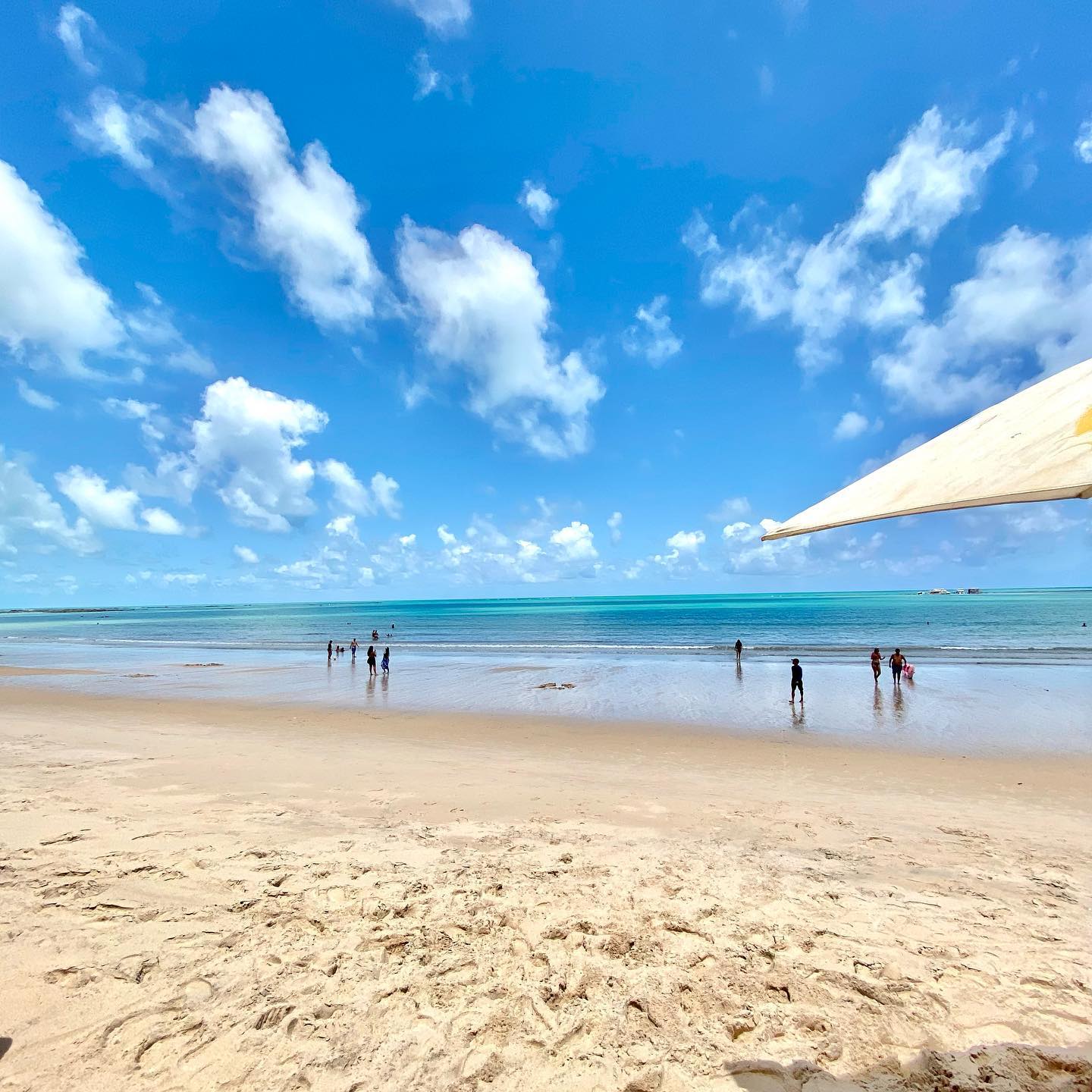 Praia do Seixas, na Paraíba.. Foto: Reprodução/Instagram @visite.joaopessoa 03/11/2022