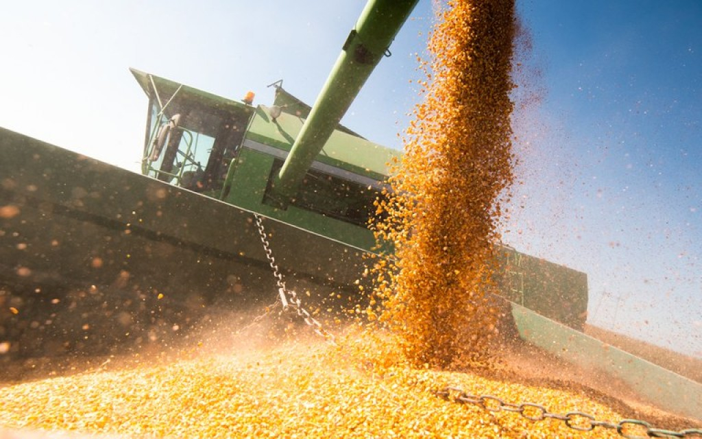 Produção pode atingir 390 milhões de toneladas em 10 anos, mas precisa de investimentos