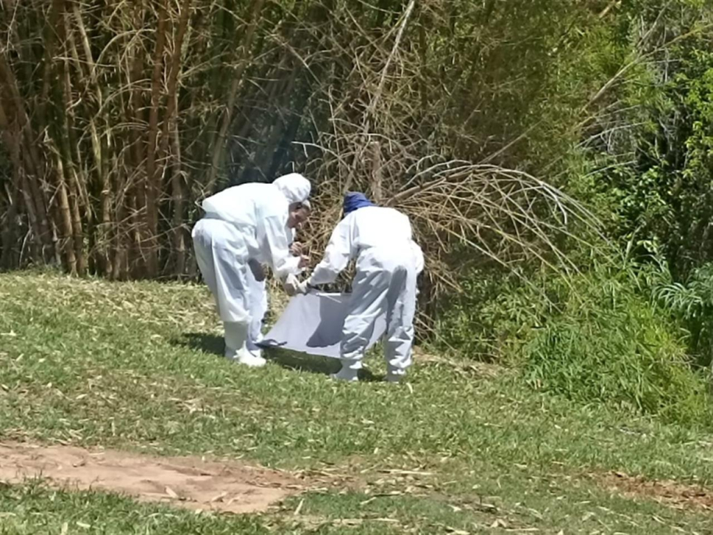 Varredura contra febre maculosa em Marília vai a rios e residências em distrito