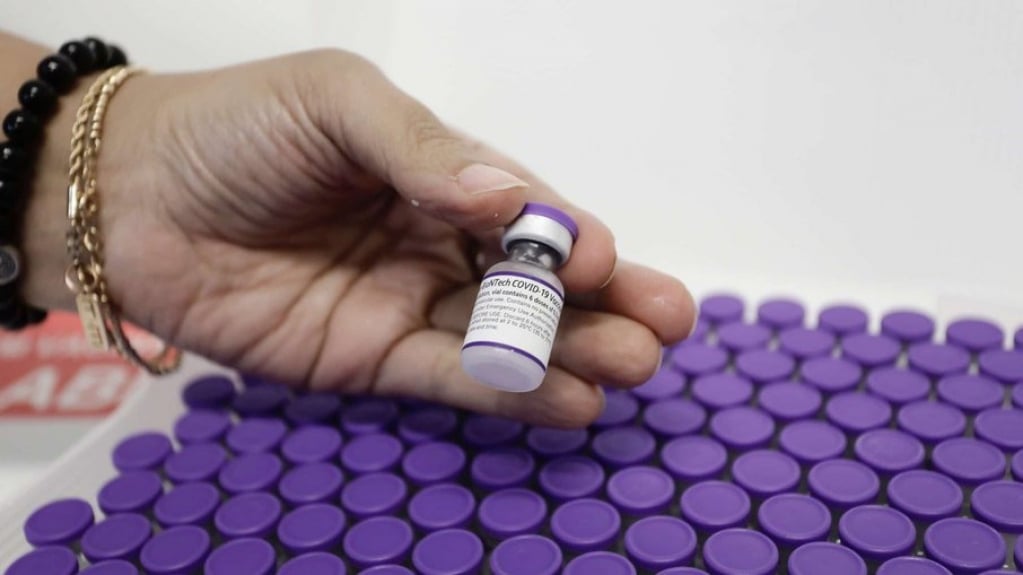 Pfizer deve pedir autorização para vacinar crianças no Brasil em novembro