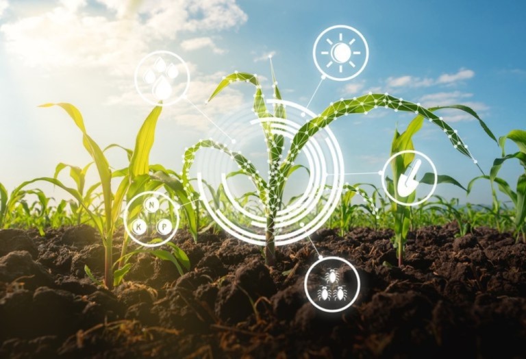 Mapa cria Plataforma Digital de Inovação Agropecuária