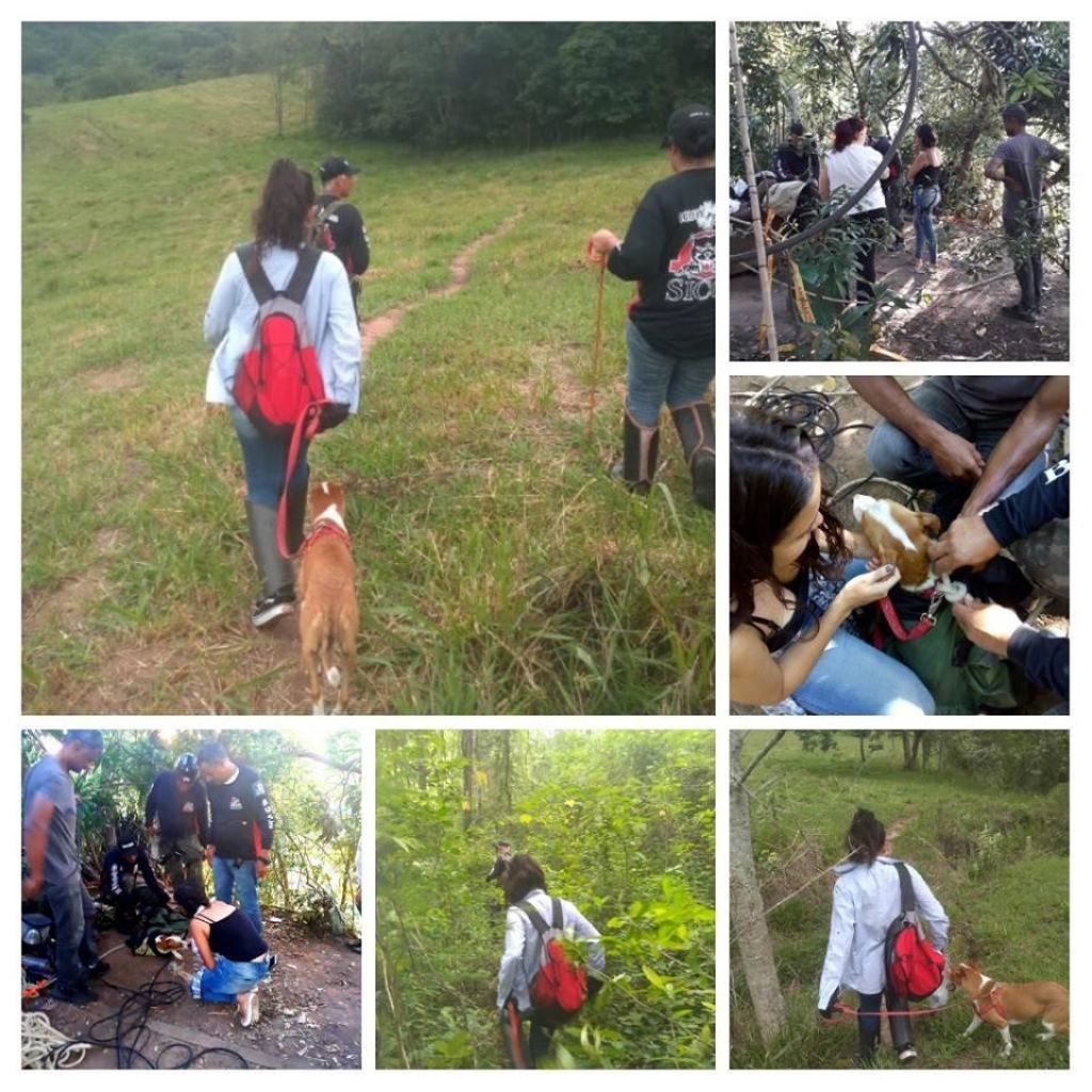 Sicoe retoma buscas por cachorra em vale com apoio da família