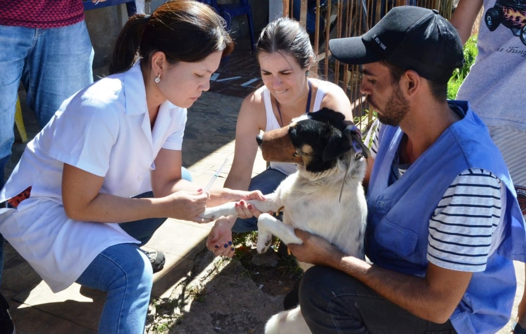 Plantão na zona norte investiga animais em controle de leishmaniose