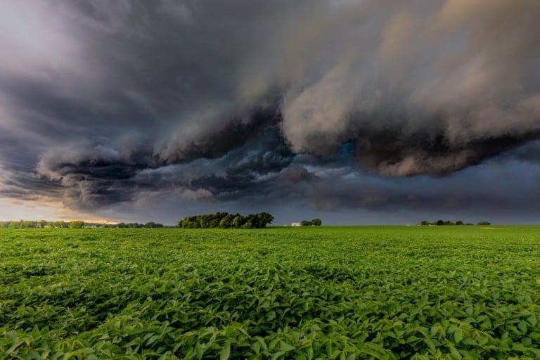 Clima maluco: última semana do ano deve ter chuva, seca, frio e calor