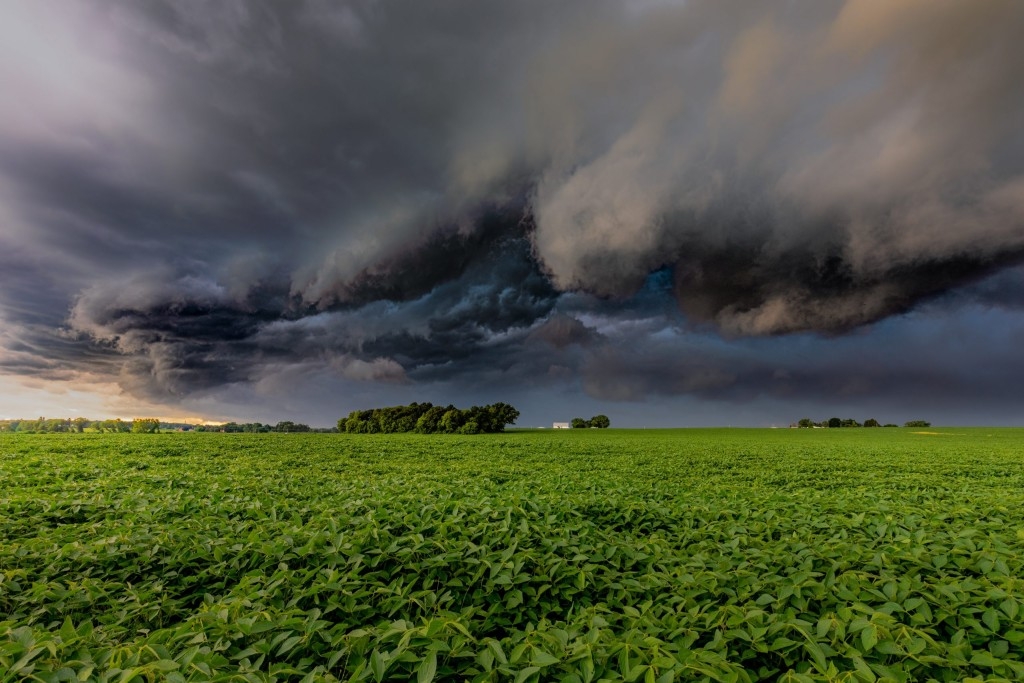 Clima maluco: última semana do ano deve ter chuva, seca, frio e calor Clima maluco: última semana do ano deve ter chuva, seca, frio e calor
