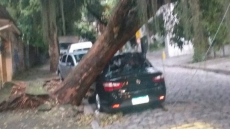 Centro de Operações Rio / Reprodução A árvore que caiu na Rua Pereira da Silva, em Laranjeiras, atingiu um carro