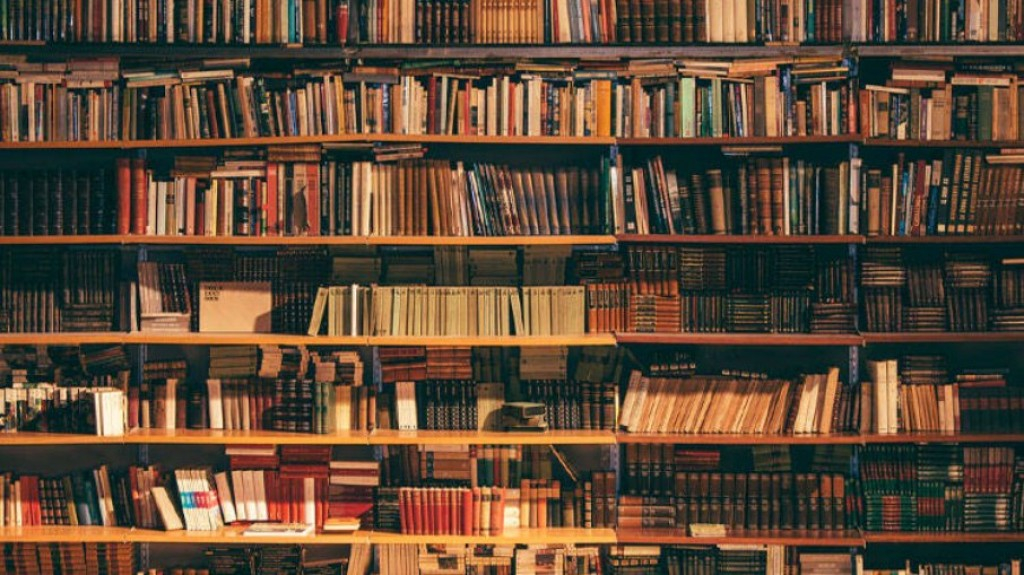 Após pandemia, livrarias registram aumento de vendas e novas lojas