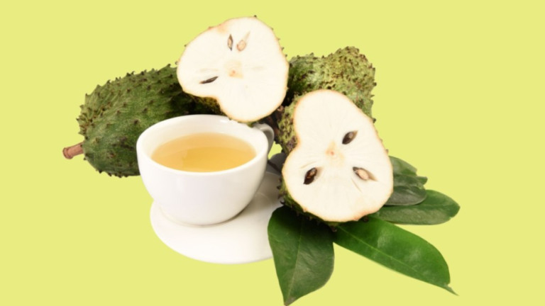 Redação EdiCase 5 receitas de chás para melhorar a saúde no outono