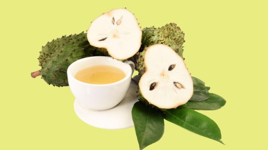 Redação EdiCase 5 receitas de chás para melhorar a saúde no outono