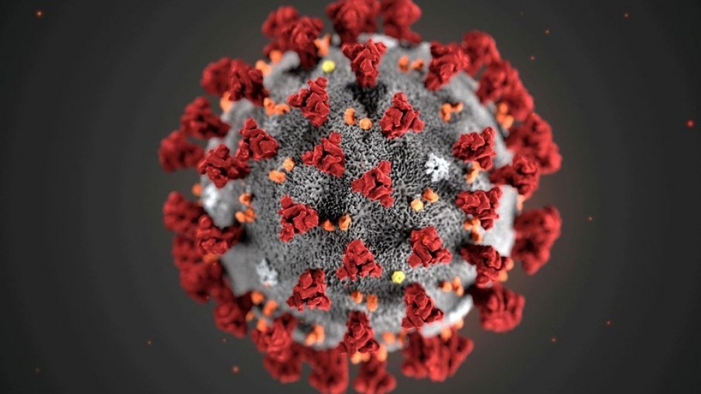 Estudo busca contaminados pela Covid-19 para testar tratamento com anticorpos