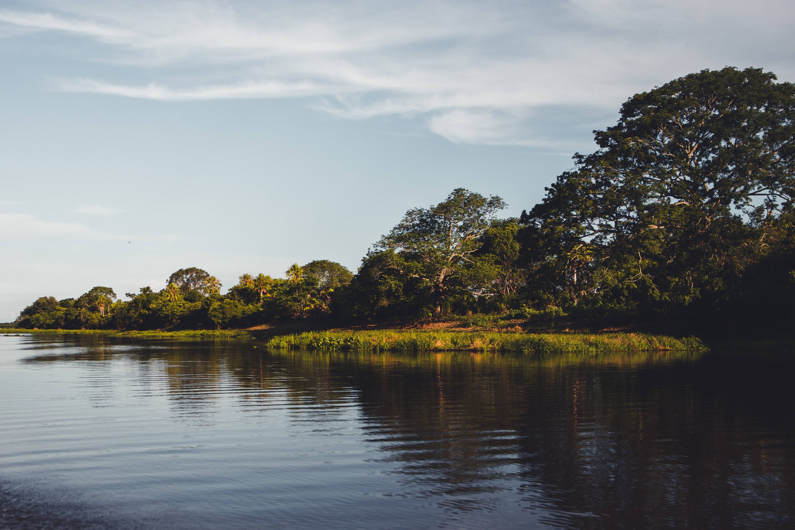 O Complexo Pantanal é dividido em três países diferentes. Foto: Nathalia Segato/Unsplash