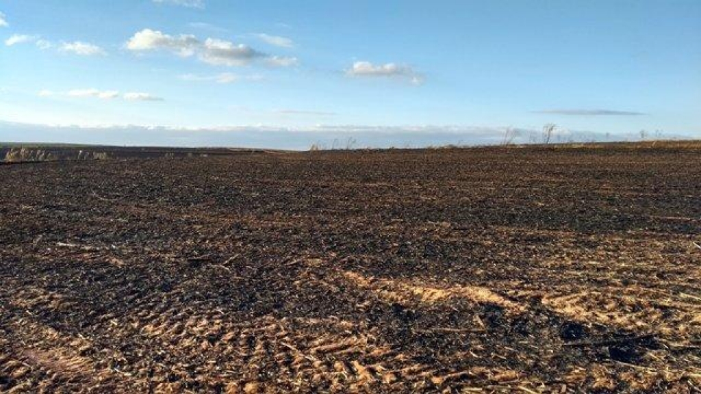 Queimada destrói pasto e vegetação; multa pesada na região de Marília