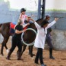 Edital contrata Equoterapia no Estado e inclui Marília