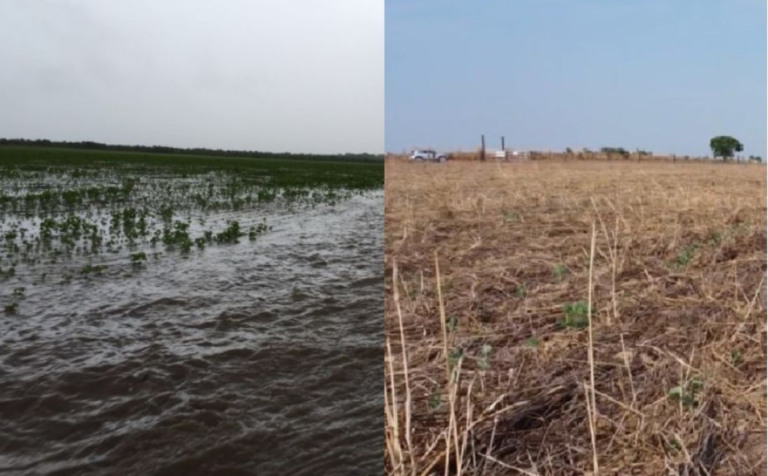 Intempéries climáticas atrasam o plantio da soja e podem prejudicar a produtividade