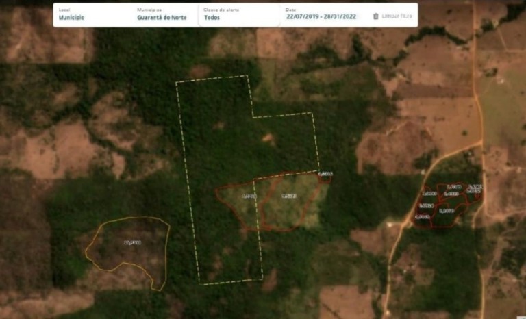 Imagem de satélite leva Sema até propriedade rural e produtor leva multa de quase R$ 1 milhão
