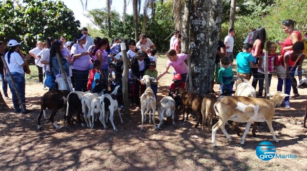 Crianças atendidas pelo Gacch visitam Fazendinha