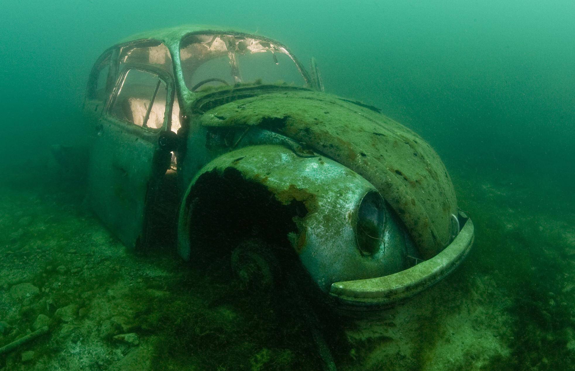 Foto: Alexander Mustard/Solent News 