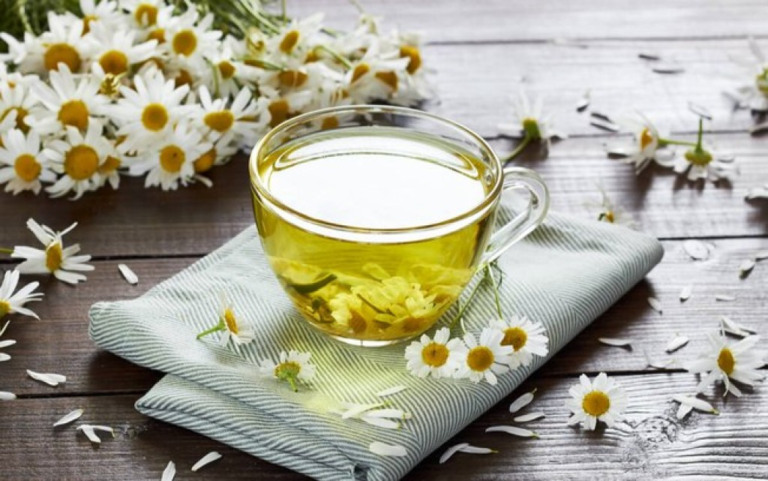 12 plantas medicinais para utilizar em chás