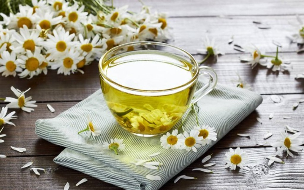 12 plantas medicinais para utilizar em chás 12 plantas medicinais para utilizar em chás