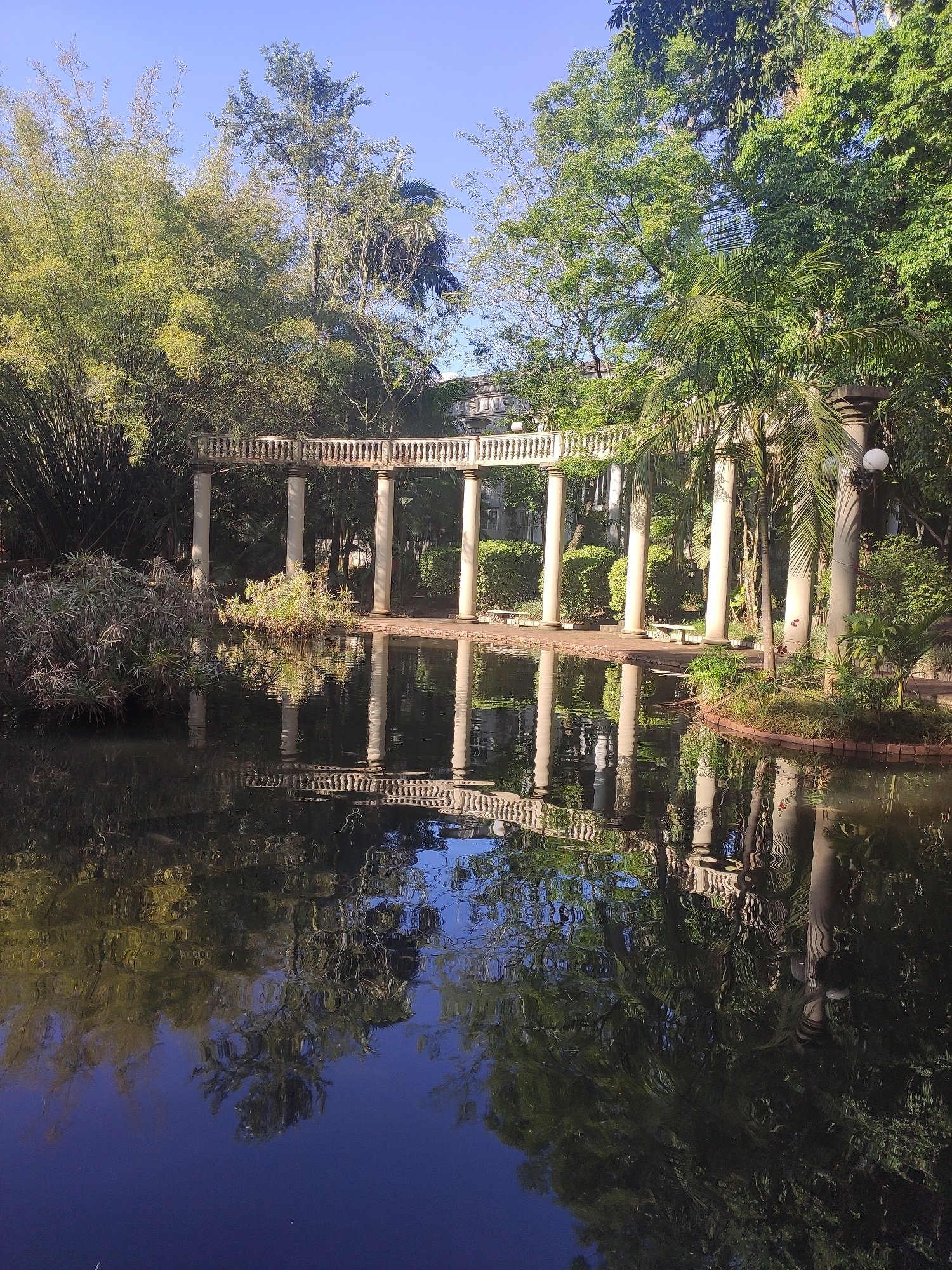 Lago com carpas - aqui a água é resfriada para que os animais possam sobreviver. Foto: Renan Tafarel/Portal iG - 09/11/2022