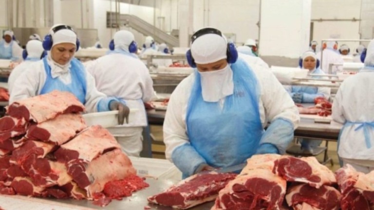 Cepea vê boas perspectivas para o mercado da carne bovina em 2024