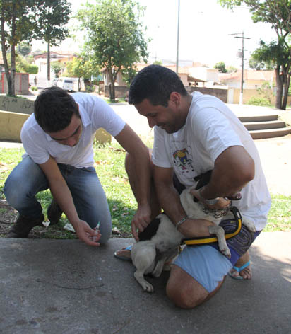 Começa vacinação contra raiva