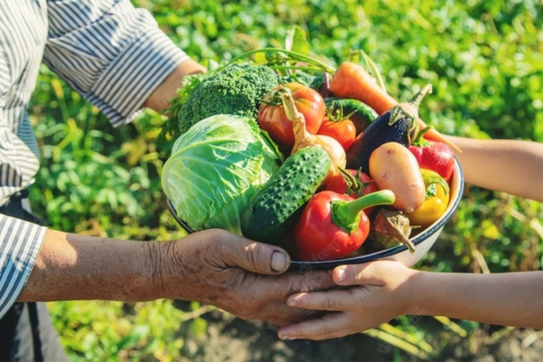 Agricultura familiar é responsável por boa parte dos alimentos que chega à mesa dos brasileiros. Foto: Contag / Divulgação