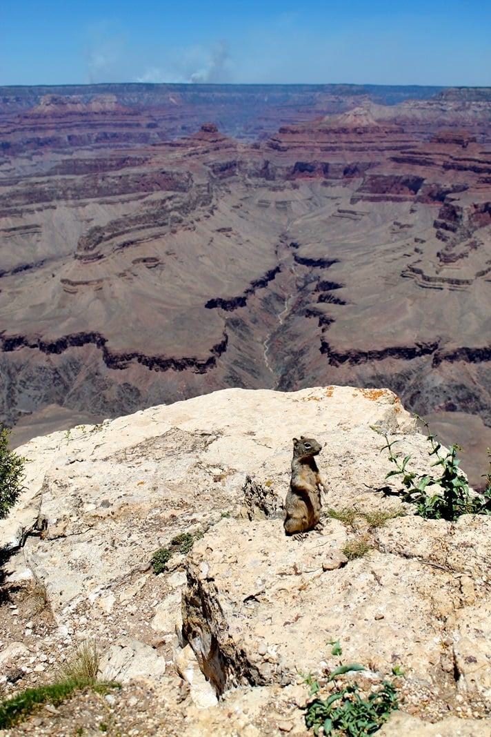 Rafaella Ferraz em viagem pelo Grand Canyon