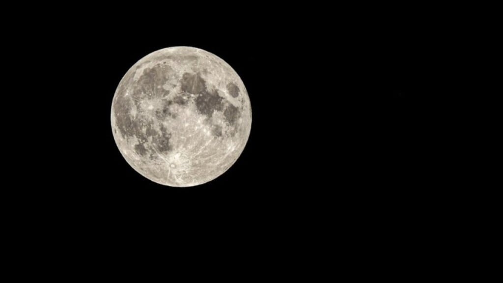 Tatiana Magalhães Lua do Lobo: as previsões pro seu signo nesta Lua Cheia poderosa