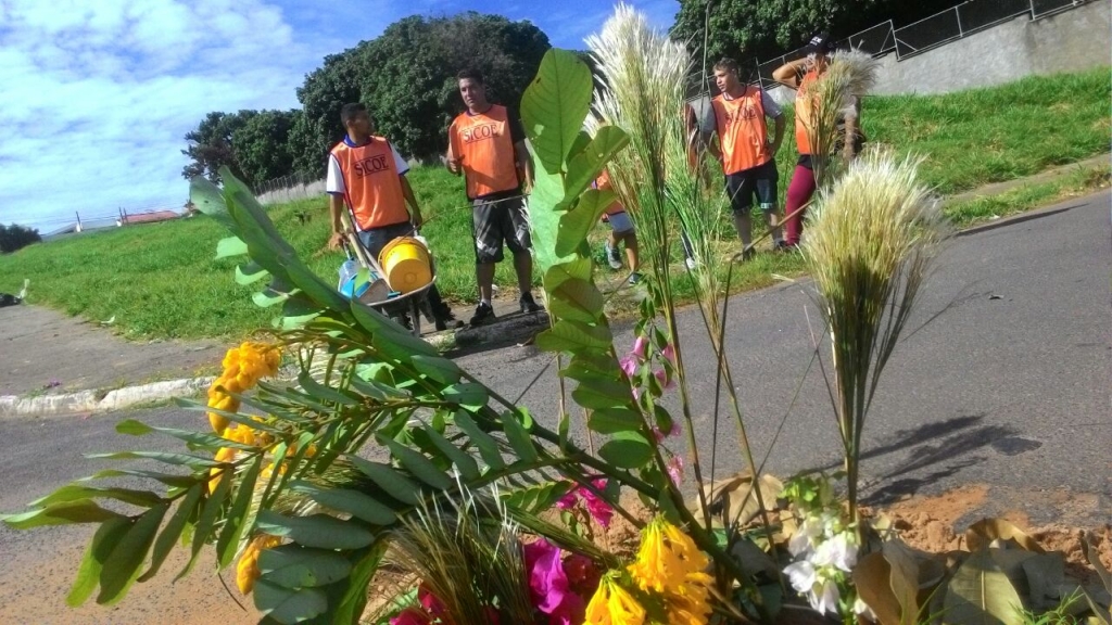 Voluntários plantam flores no asfalto para denunciar buracos