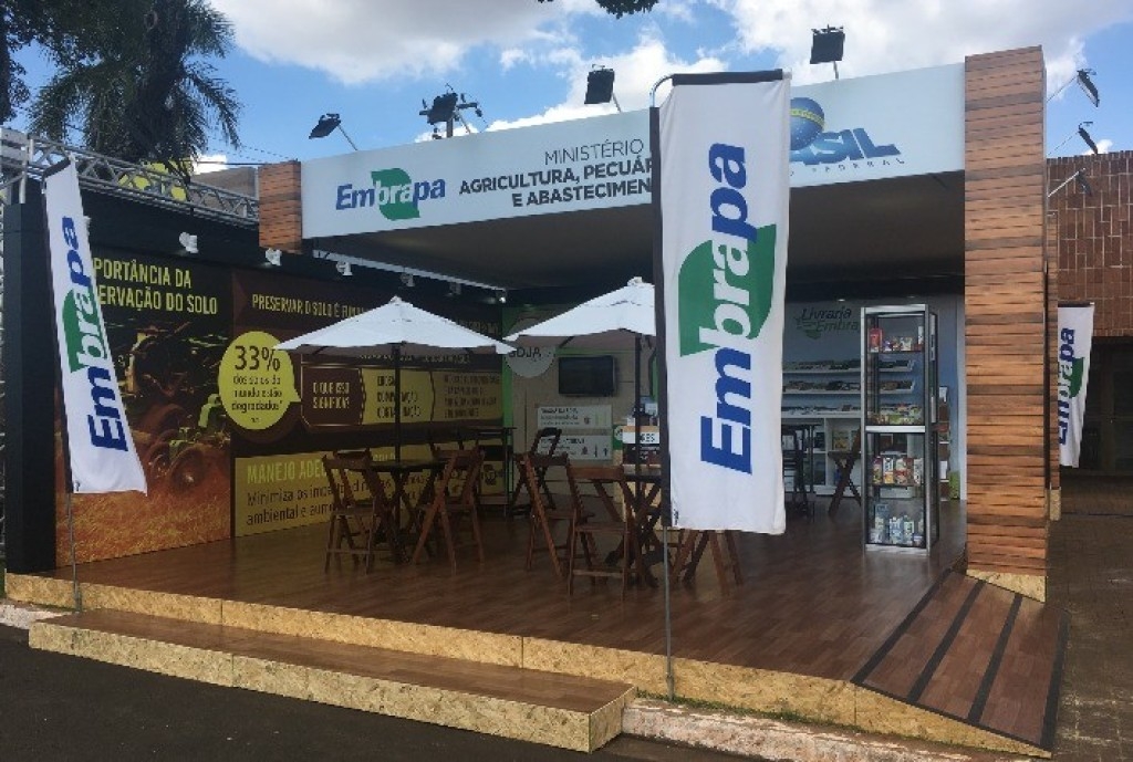 Embrapa desenvolve semente de soja resistente à seca