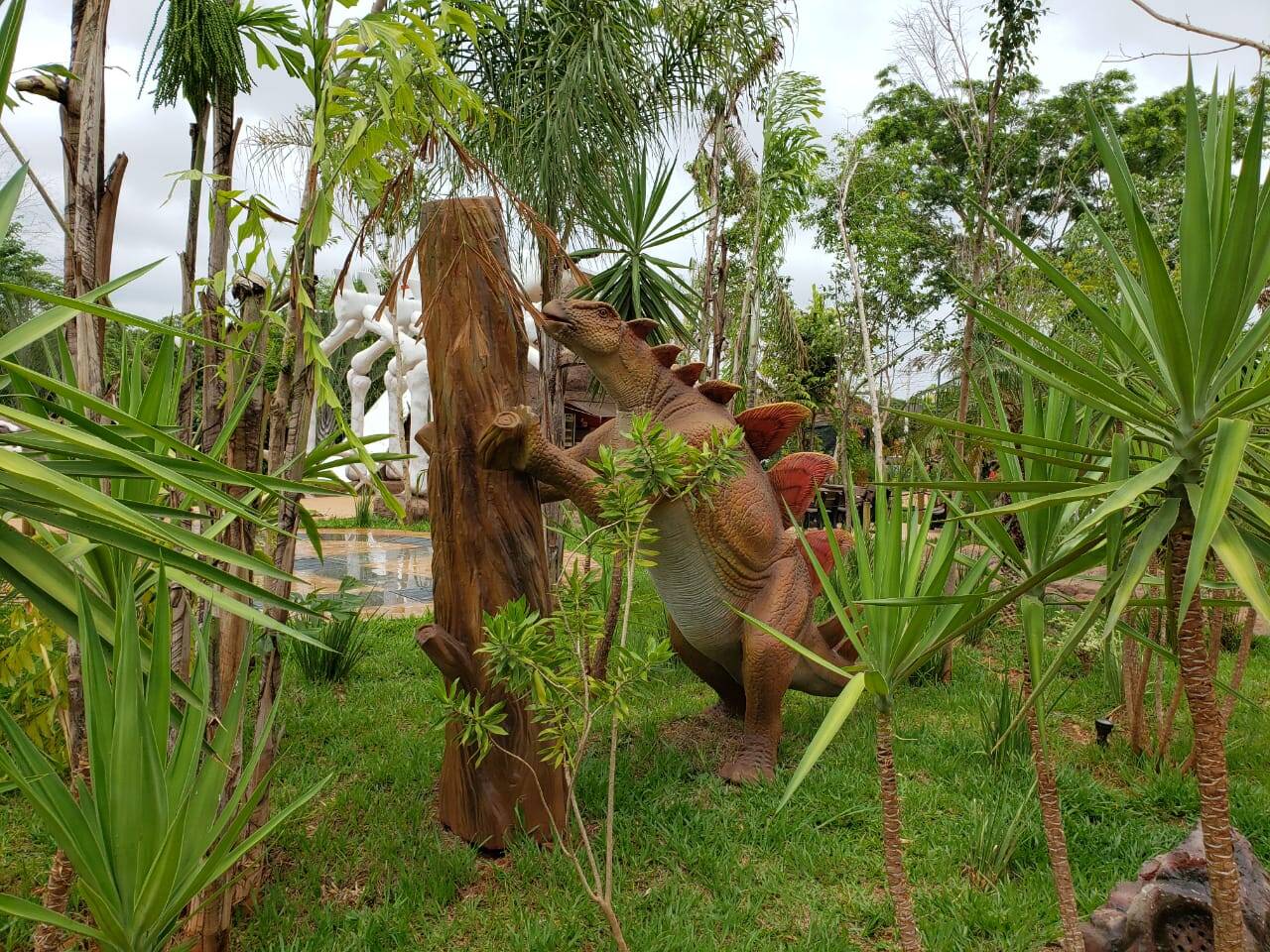 Os animais também interagem com os elementos da floresta