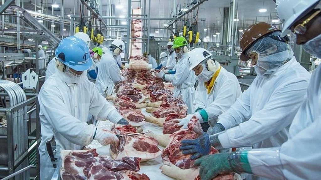 Embargo da China: exportações de carne bovina caem 43% em outubro