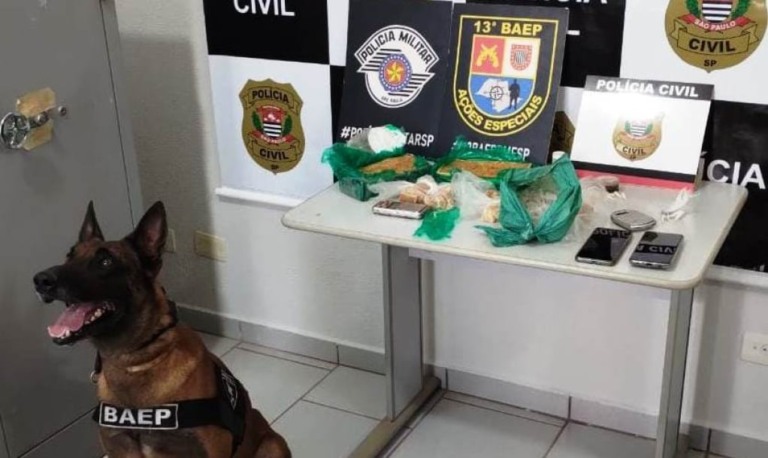 Operação do Baep com canil aprende 2,5kg de crack na região