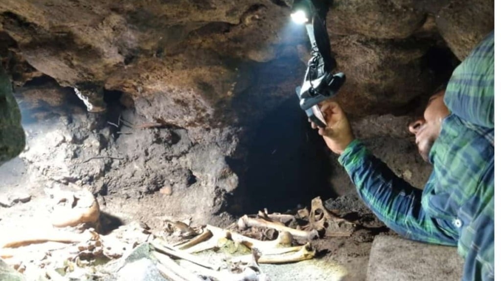 Foto: Reprodução Caverna ‘Arca de Noé’ é encontrada no México por arqueólogos