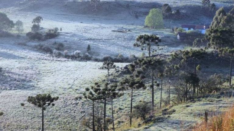 Santa Catarina registra neve pela primeira vez em novembro