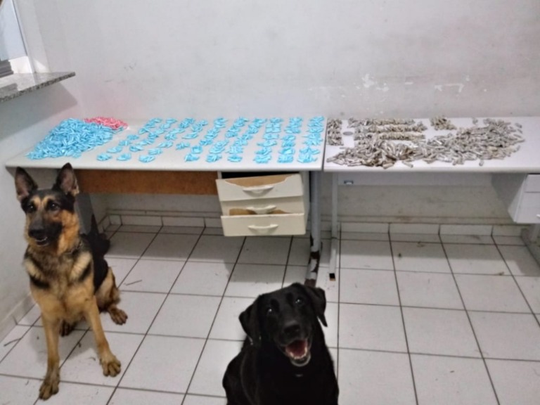 PM apreende R$ 52 mil em drogas com apoio de cães em Marília